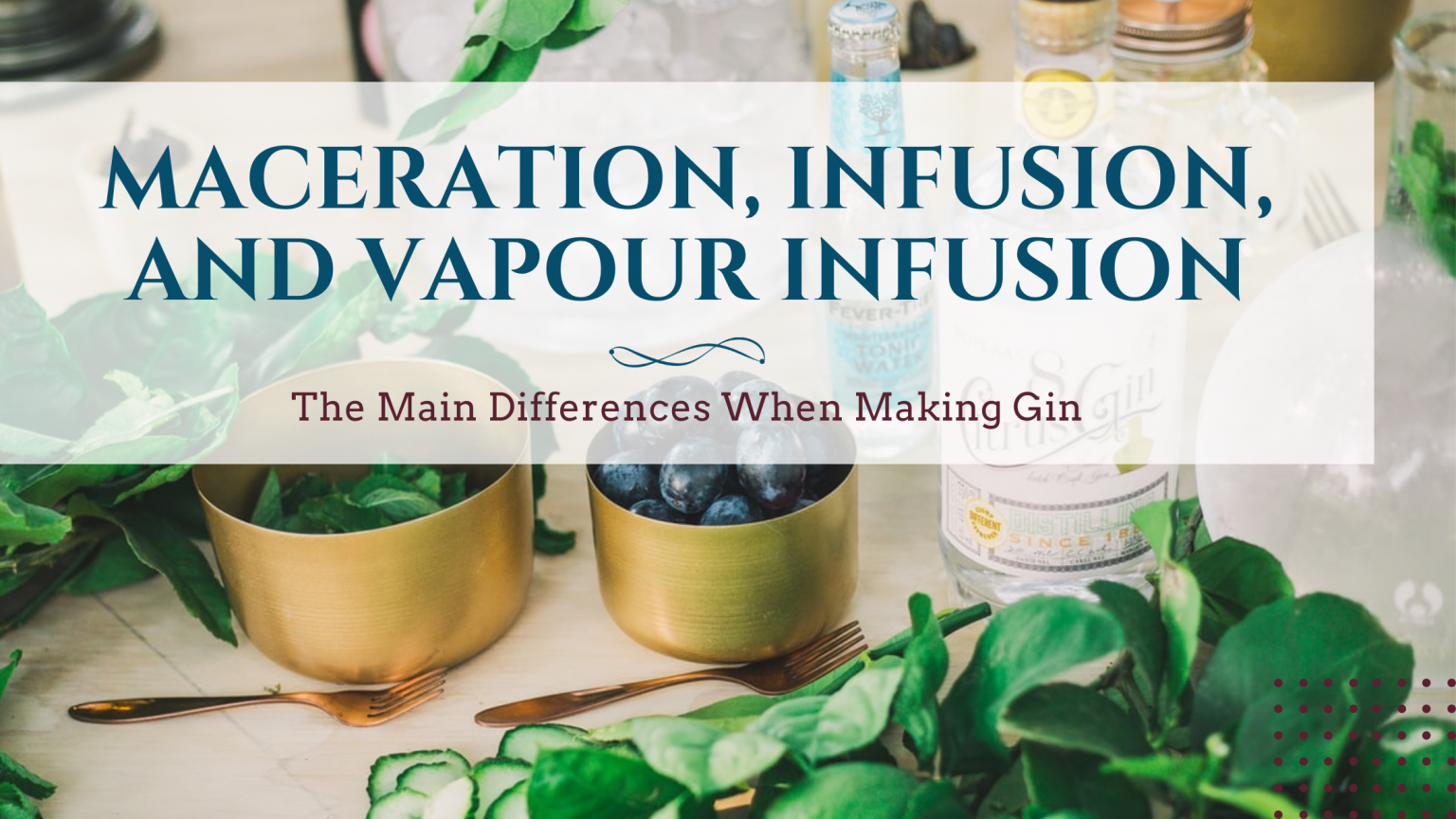 Gin The Difference Between Maceration, Infusion and Vapour Infusion DIY Distilling