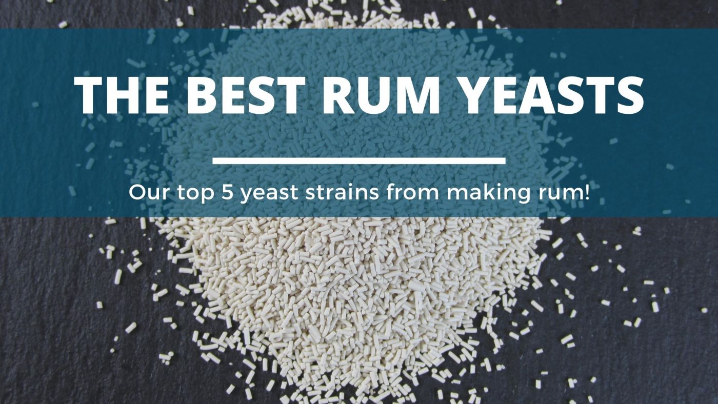 5 Best Yeasts for Making and Distilling Rum (Best Rum Yeast Explained