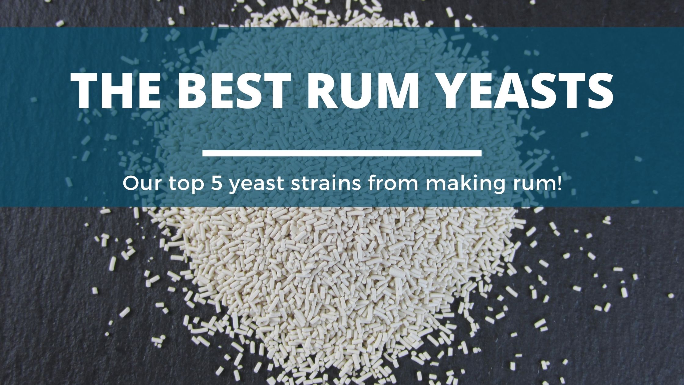 White Star Craft Distilling Yeast Caribbean Rum, 500 Gram 