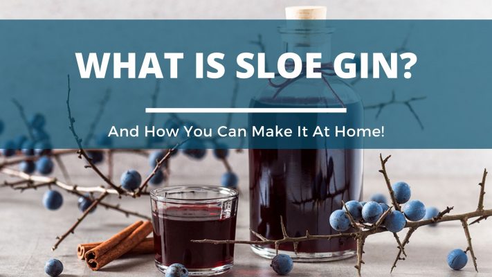 Image of DIY Distilling What is sloe gin and how to make it