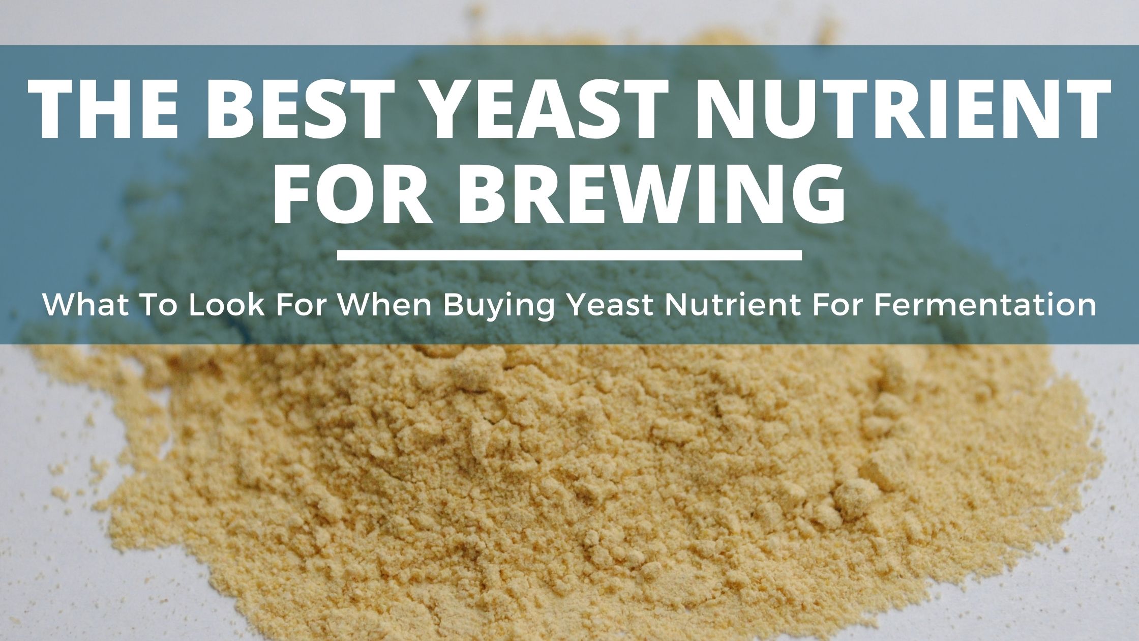 The Best Yeast Nutrient For Homebrewing and Distilling (In 2022)