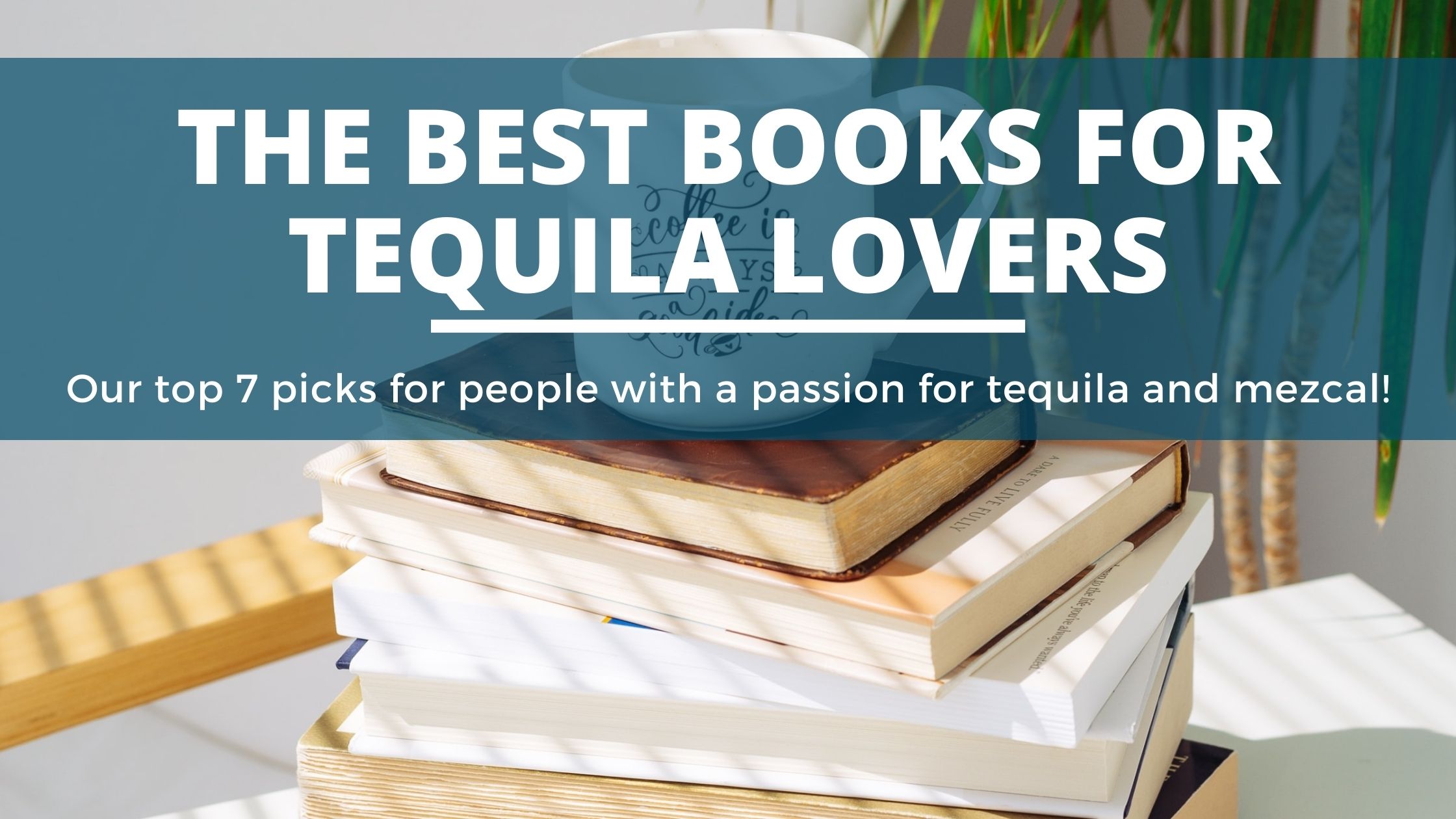 Image of DIY Distilling The Best Books for tequila and mezcal makers and drinkers