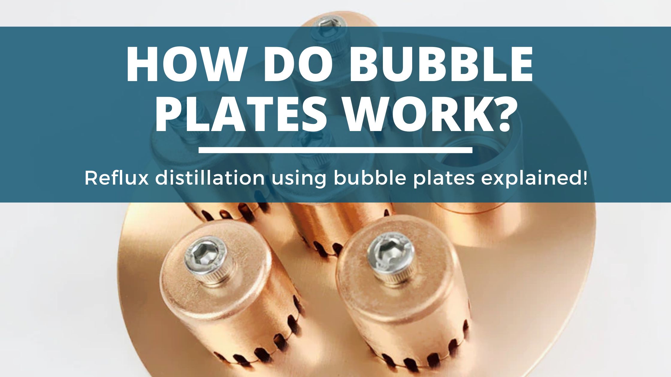 Image of DIY DISTILLING How do bubble plates work