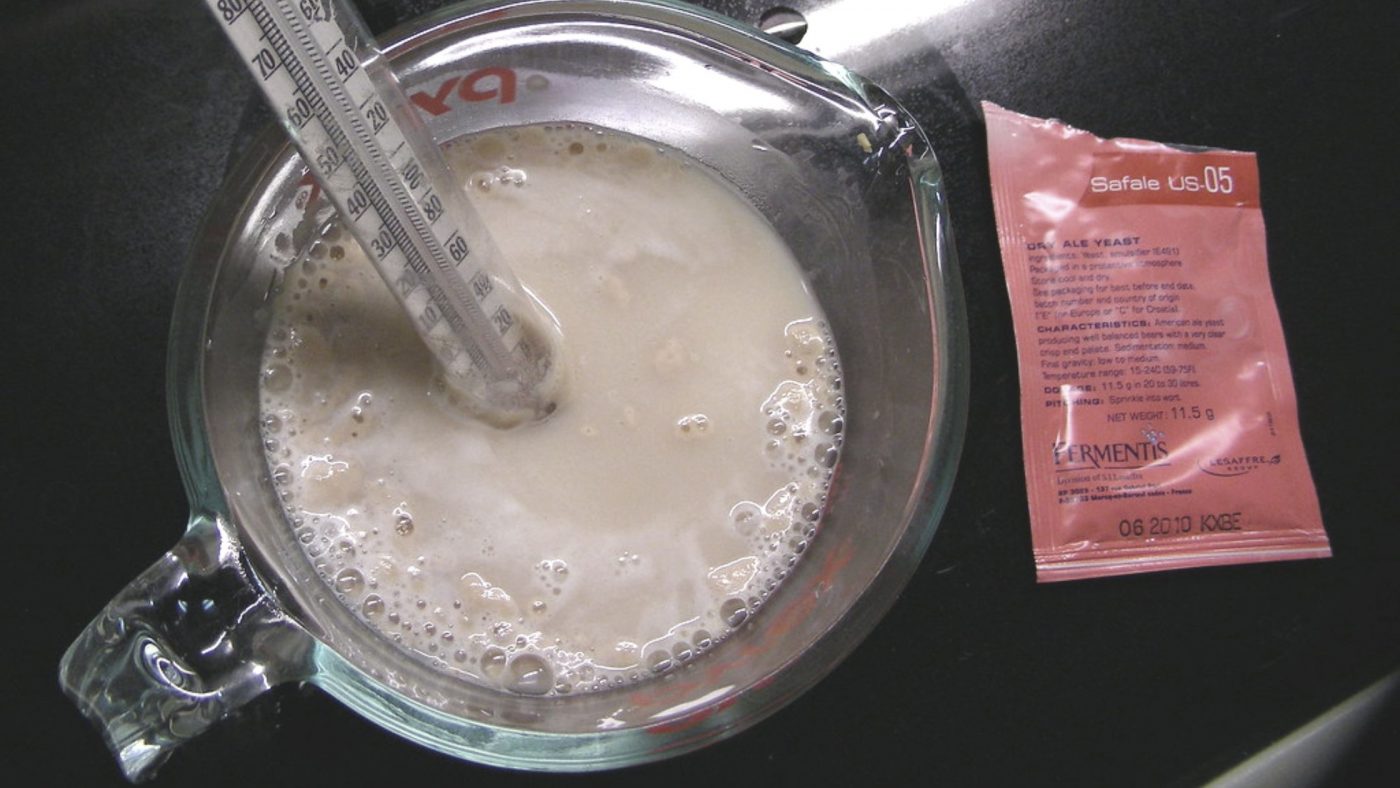 How Long Does Brewers Yeast Last? (Throw It Out!) 2 Image of DIY DISTILLING How long does brewers yeast last and can you store it longer in the fridge or freezer