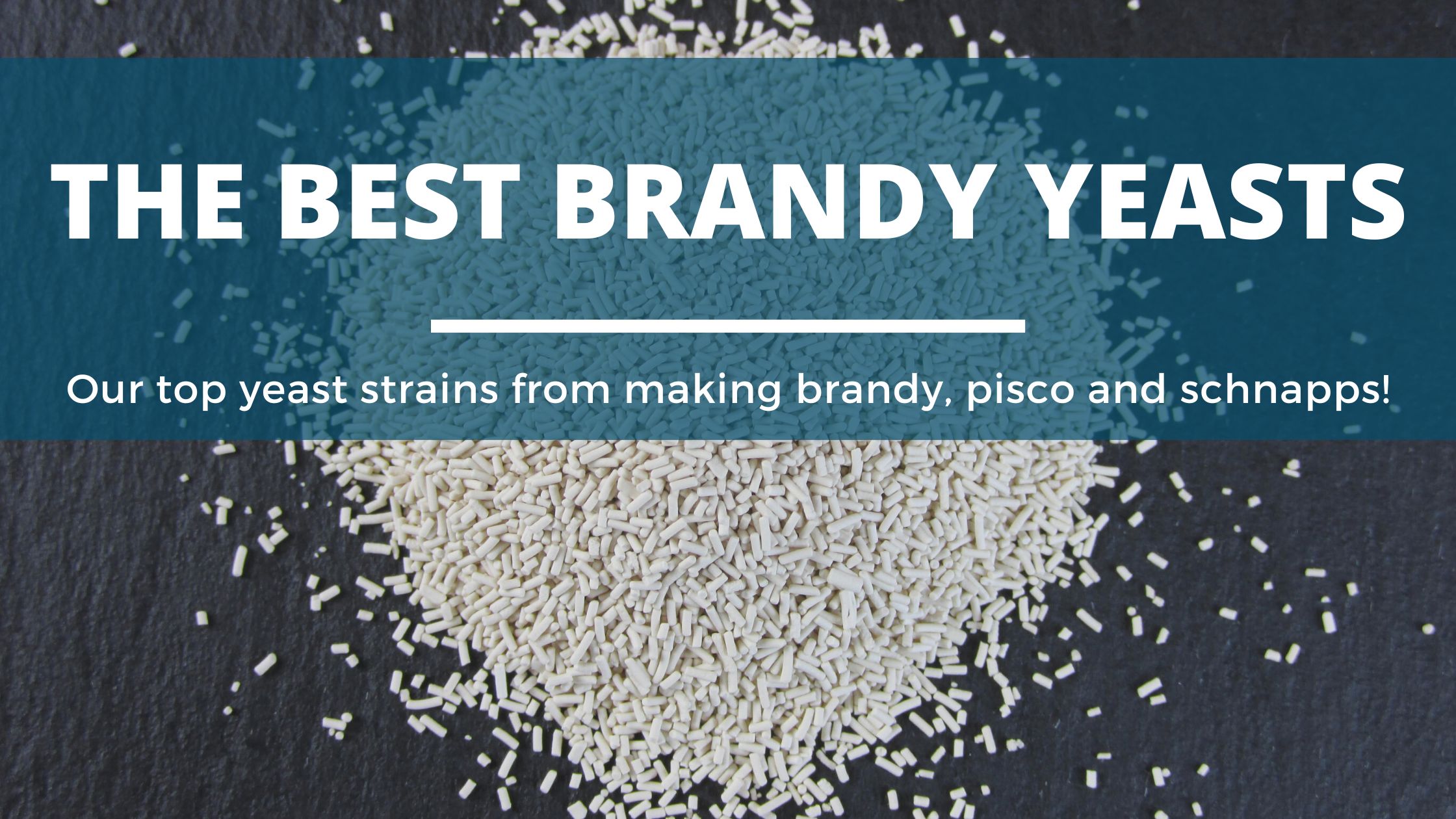 Image of DIY DISTILLING The best brandy yeast the best yeast for making schanpps brandy pisco and grapps