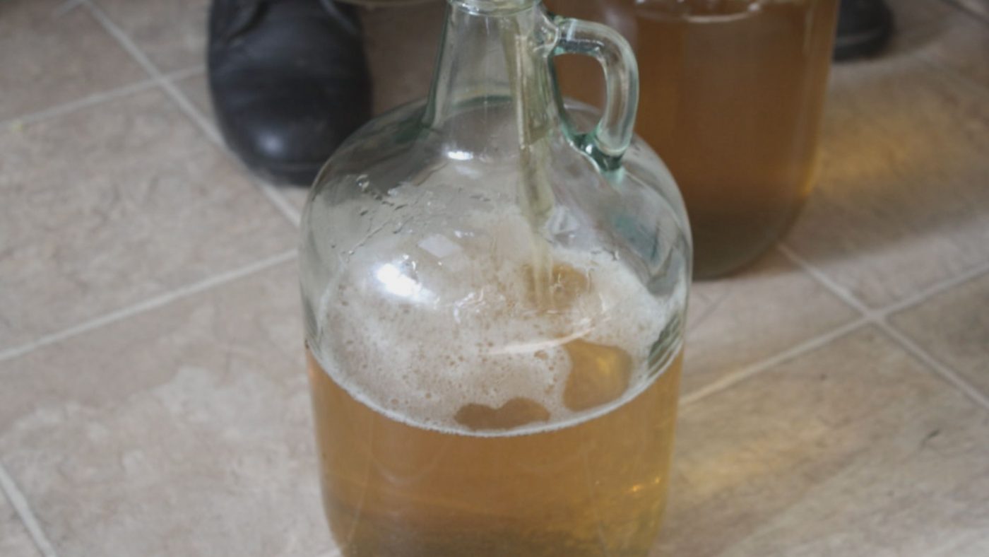 Image of DIY DISTILLING top 5 easiest alcohol to make at home