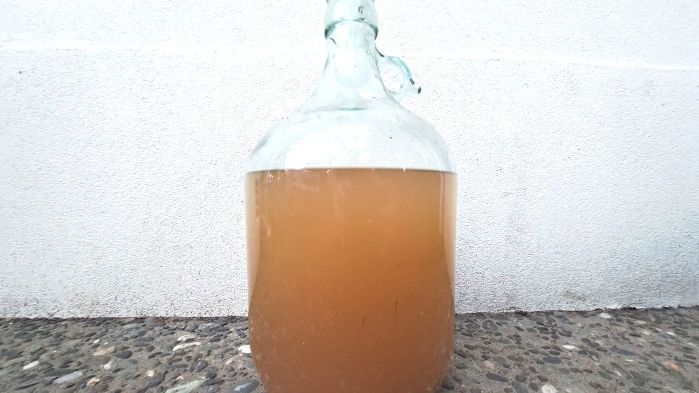 Image of DIY DISTILLING what is backset stillage and dunder
