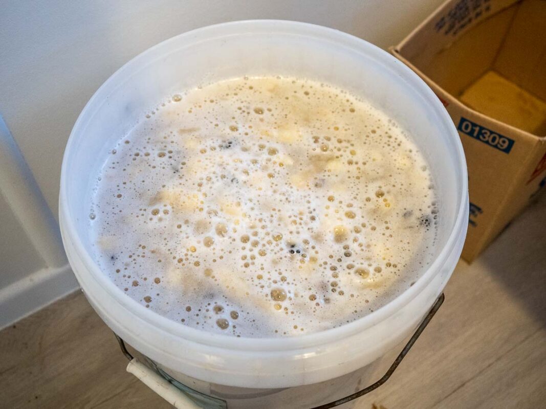 Banana Moonshine Recipe (How To Make Easy Banana Brandy At Home) 11 Image of DIY Distilling adding a rum yeast to our banana brandy wash