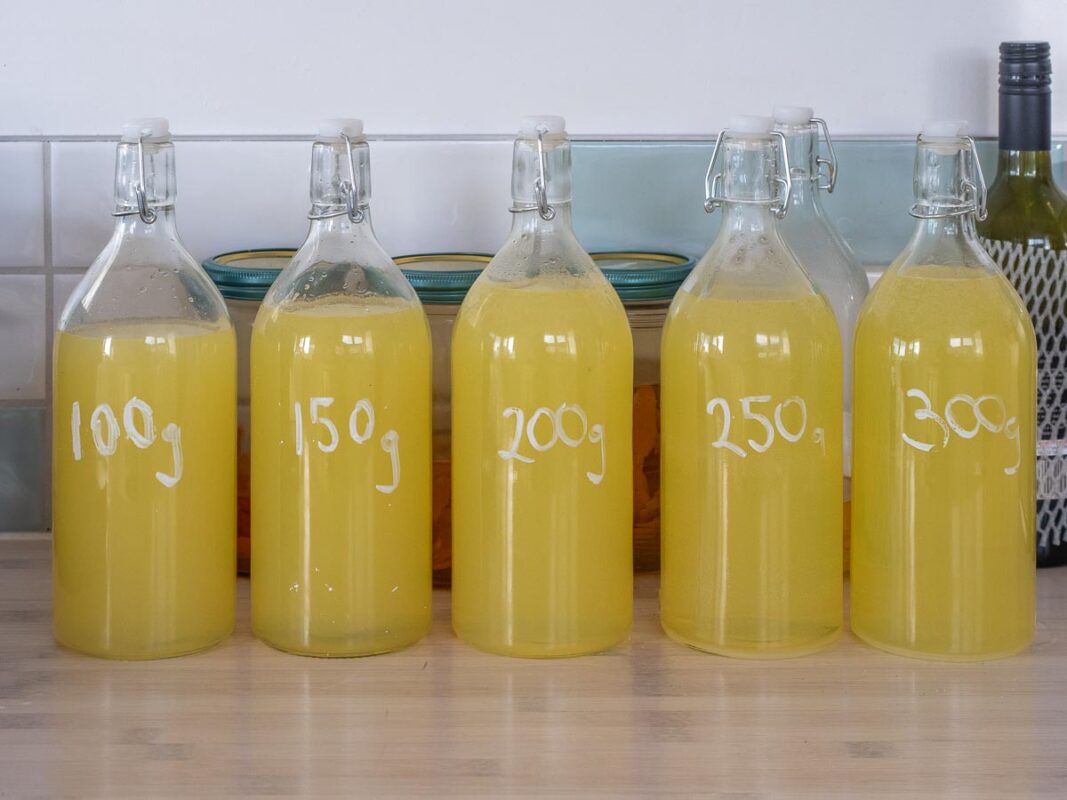 The Best Limoncello Recipe (We Tested 5 Versions!) 10 Image of DIY Distilling different limoncello recipes