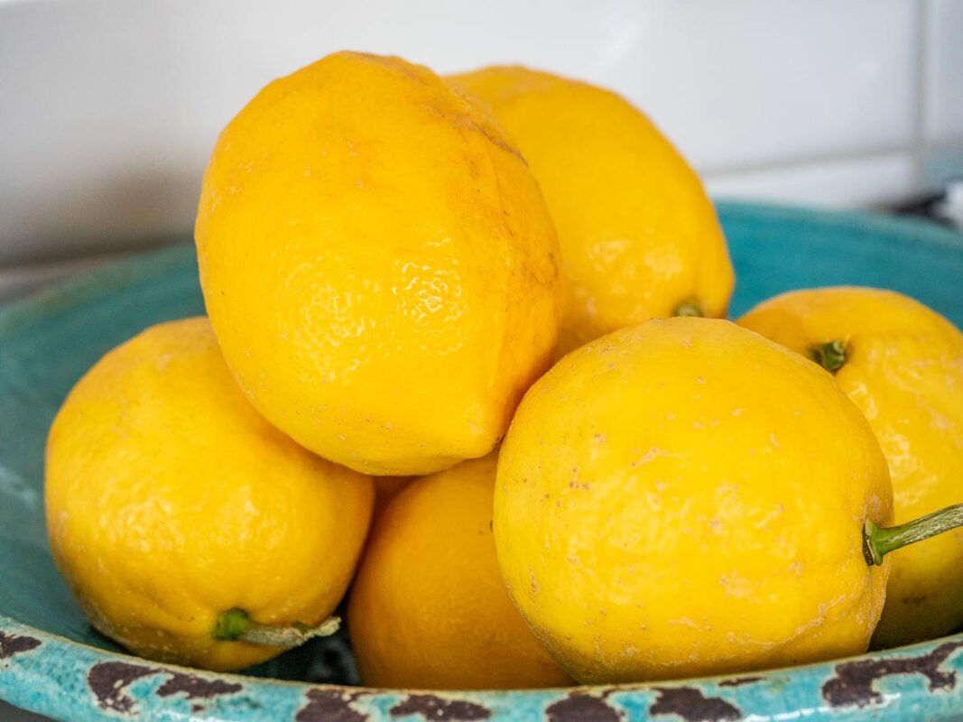 The Best Limoncello Recipe (We Tested 5 Versions!) 15 Image of DIY Distilling the best lemons for limoncello